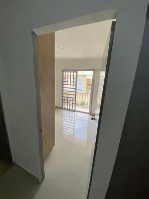 Conjunto Coruña Berdez
